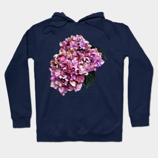 Hydrangeas - Pink and Purple Hydrangea Hoodie